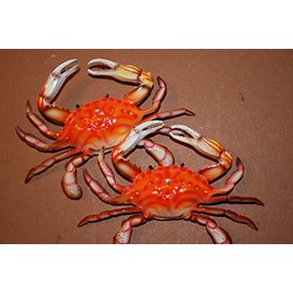 Tropical Coral Reef Sea Life Wall Hangings Crab Shack Restaurant Steamed Crab Decor, 6 inches, Set of 2