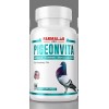 farmalab PIGEONVITA VITAMINA COMPLETA para PALOMAS MULTIVIT Pigeon 100 TABLETAS