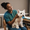 Chupete para perro de látex de 10 cm, los colores