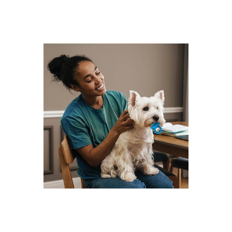 Chupete para perro de látex de 10 cm, los colores