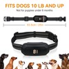 Bark Collar For Dogs 10lb 6 Months And Up Rechargeable