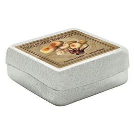 MyTinyWorld Dolls House Miniature Apothecary Sheathed Woodtuft Fungi Colour Box