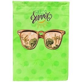 Caroline's Treasures BB8205GF Beach Sunglasses Green Polkadot Garden Flag, Size, Multicolor
