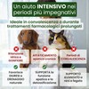 Trebifarma Diurecor Forte Cani e Gatti, Supporto Intensivo di Reni