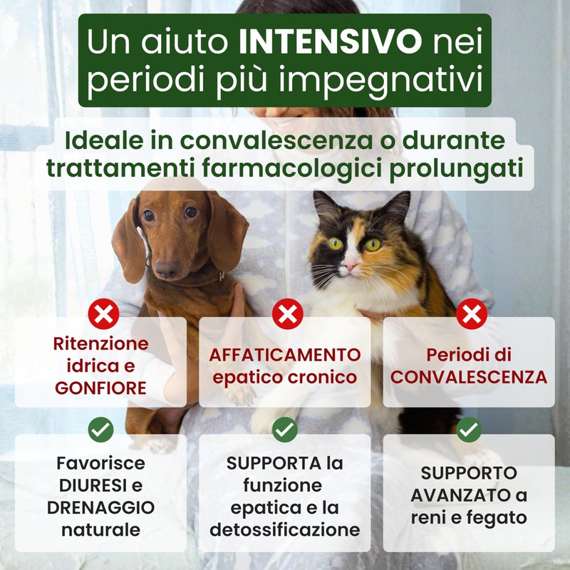 Trebifarma Diurecor Forte Cani e Gatti, Supporto Intensivo di Reni