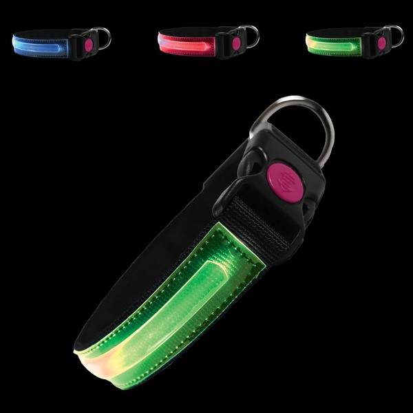 PETTY LED Dog Collar - Rechargeable USB Collar with Buckle