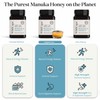 WildCape Manuka Honey Certified UMF 15+/MGO 514+ - 100% Pure,