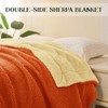 Exclusivo Mezcla Reversible King Size Sherpa Fleece Blanket, Soft Plush