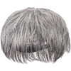 Priscilla GB-22-TGH Men's 5-Minute Wig, Layer Short