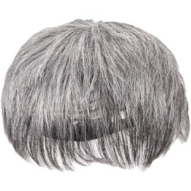 Priscilla GB-22-TGH Men's 5-Minute Wig, Layer Short