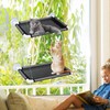 Frayot Cat Window Hammock,2Pack Medium Cat Window Hammock with 8