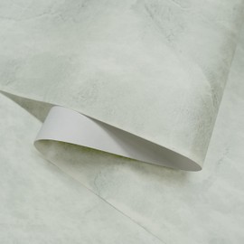 Ansehan Anshan Wallcovering Vintage Plaster Wallcovering HA5002 Vague,33" Wx6.5 Yard L Textured Modern,Designer Pick. Non Prepasted Home Decor for Interior,Cloud/Light Grey