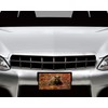 Vanity Aluminum Front License Plate (Bear Sparkles)