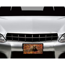 Vanity Aluminum Front License Plate (Bear Sparkles)