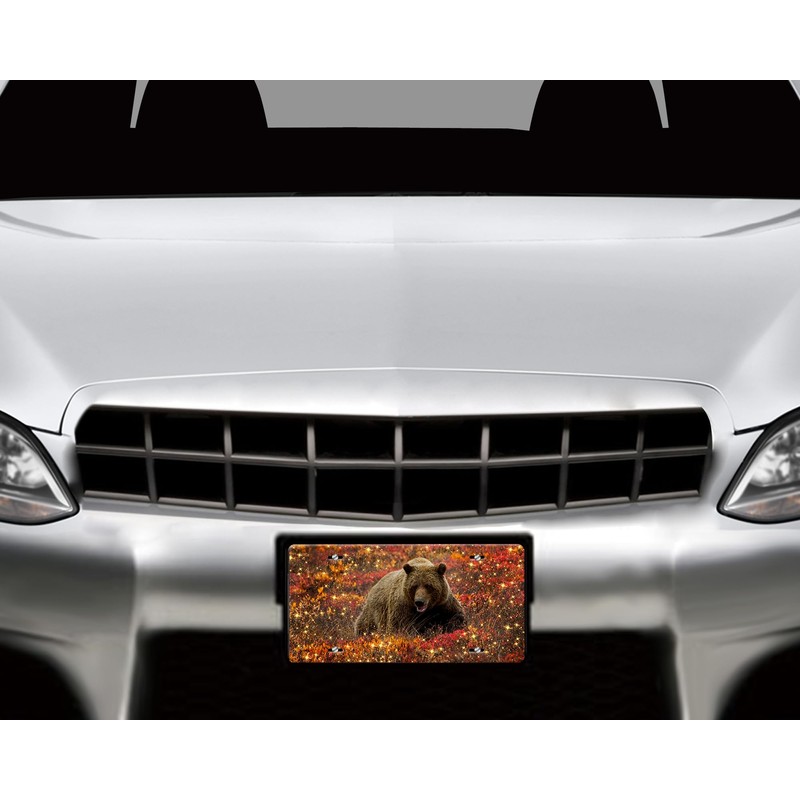 Vanity Aluminum Front License Plate (Bear Sparkles)