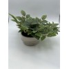 Threshold Ceramic Potted Faux Artificial Plant 6 In Height 15