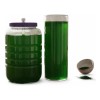 Espirulina Viva Alga Semilla Natural Culitvo