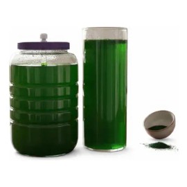 Espirulina Viva Alga Semilla Natural Culitvo                                                                                                          