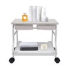 Goudergo Beauty Salon Nail Or Foot Bath Spa Portable Trolley,
