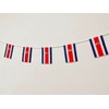 Pandiui23 Costa Rica Flag 40 Pack 35ft 5.5" x 8.25"