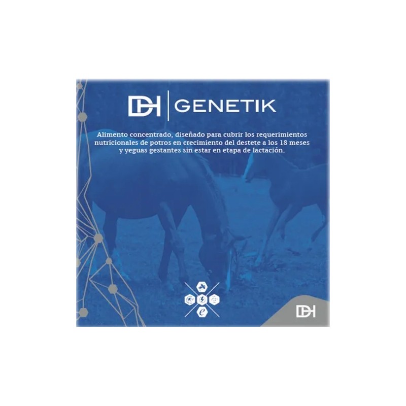 Dinasty Horse Genetik Potros Y Yeguas Gestantes 40kg