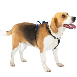 LufeLux Easy Walk Freedom No Pull Dog Harness for Large Dogs, Neck-Buckle, Six Points Adjustment for Ultimate Fit, Two Aluminum D-Rings for Back and Front Clip, Easy Put On/Off (Blue/Black, XL)