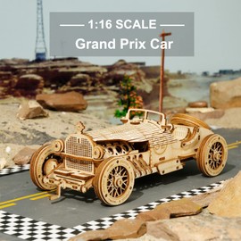 ROKR 3D Wooden Puzzle-Mechanical Car Model-Self Building Vehicle Kits-Brain Teaser Toys-Best Gift for Adults and Kids on Birthday/Christmas Day (Grand Prix Car)