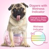 Disposable Female Dog Diapers, Puppy Diapers with Adjustable Elastic Waistline