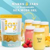 Joy Sea Moss Wildcrafted Irish Sea Moss - 100% Natural