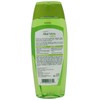 Grisi Aloe Vera Shampoo, Moisturizing Shampoo with Aloe Vera Extract,