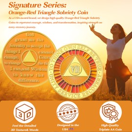 True to Self 7 Year Sobriety Coin, Affirmation AA Chips, Addiction Recovery Seven Years Sober Medallions, Celebrating Anniversary Token, Alcoholics Anonymous Sobriety Gifts for Men Women