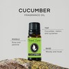 Cucumber Premium Grade Fragrance Oil - Scented Oil - (10ml)