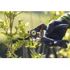 Meister Secateurs with Bypass Blade - Titanium Alloy & Non-Stick