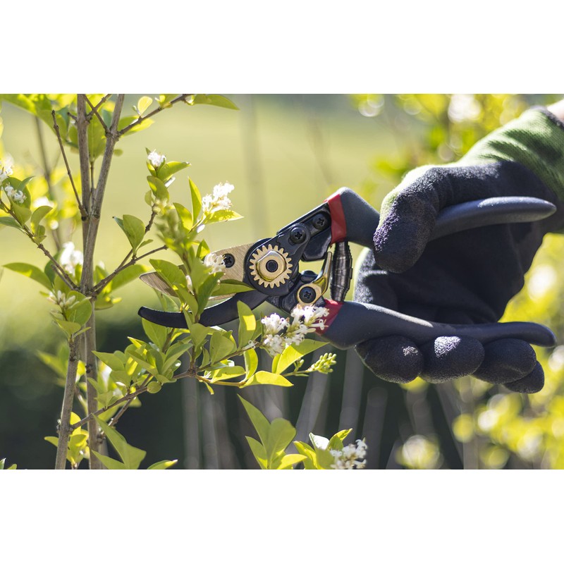 Meister Secateurs with Bypass Blade - Titanium Alloy & Non-Stick