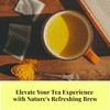 Akshit 75 Turmeric Tea Bags, Natural Tumeric Tea with Black