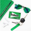 Trident Sugar-Free Chewing Gum Variety Pack Candy, Spearmint, Perfect Peppermint