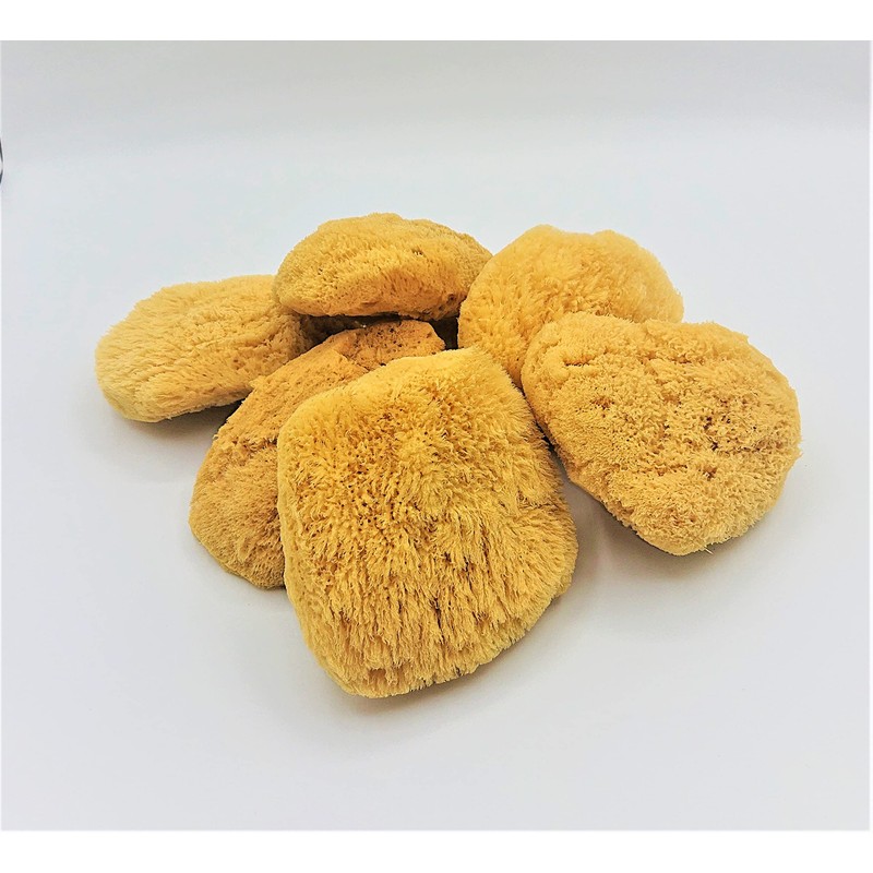 Natural Sea Cotton Body Sponge Made in Greece