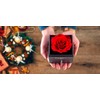 AFSTALR Ewige rose Infinity Rosen mit Rote Rosen Geschenkbox, Eternal