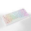 MOLGRIA x SKYLOONG 75% Gaming Keyboard, GK75 HE USB Wired