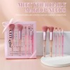 Make up brush set, 5 make-up brushes for every make-up