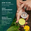 Badger Healing Balm - 2oz - 2 Pack