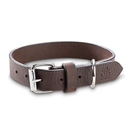 Jack & Russell Hendrix Premium Leather Dog Collar - Original Leather Dog Collar - Genuine Leather Dark Brown Hendrix (S)