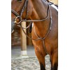 LeMieux Hunter Standing Martingale COB