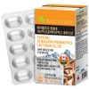Maple Tree enteric-coated 10 billion probiotics, live lactic acid bacteria, 1 unit, 60 tablets / 메이플트리 장용성 100억 프로바이오틱스 생유산균, 1개, 60정
