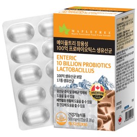 Maple Tree enteric-coated 10 billion probiotics, live lactic acid bacteria, 1 unit, 60 tablets / 메이플트리 장용성 100억 프로바이오틱스 생유산균, 1개, 60정