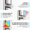 CREA Kitchen Faucet,Kitchen Faucet with Pull Down Sprayer,RV Kitchen Sink