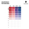 Schwarzkopf Professional CHROMA ID Bonding Color Mask Semi Permanent Mix