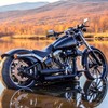 DREAMIZER Black Motorcycle Universal Oval Rear View Side Mirrors Compatible