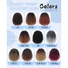 Eerya 10 Inch Yanky Twist Crochet Hair for Women 8