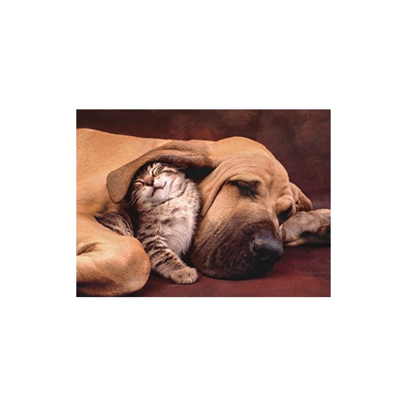 Clementoni Cuddles Cute Cat & Dog 500 Piece Jigsaw Puzzle